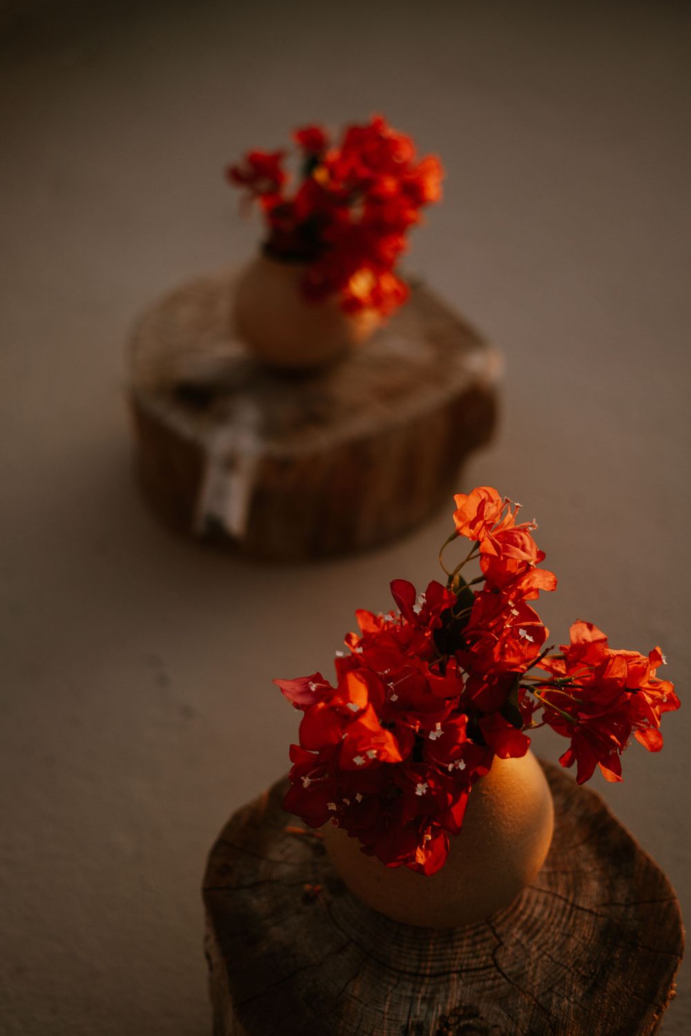 Vibrant red flowers in small vases displayed on rustic wooden pedestals in moody lighting.