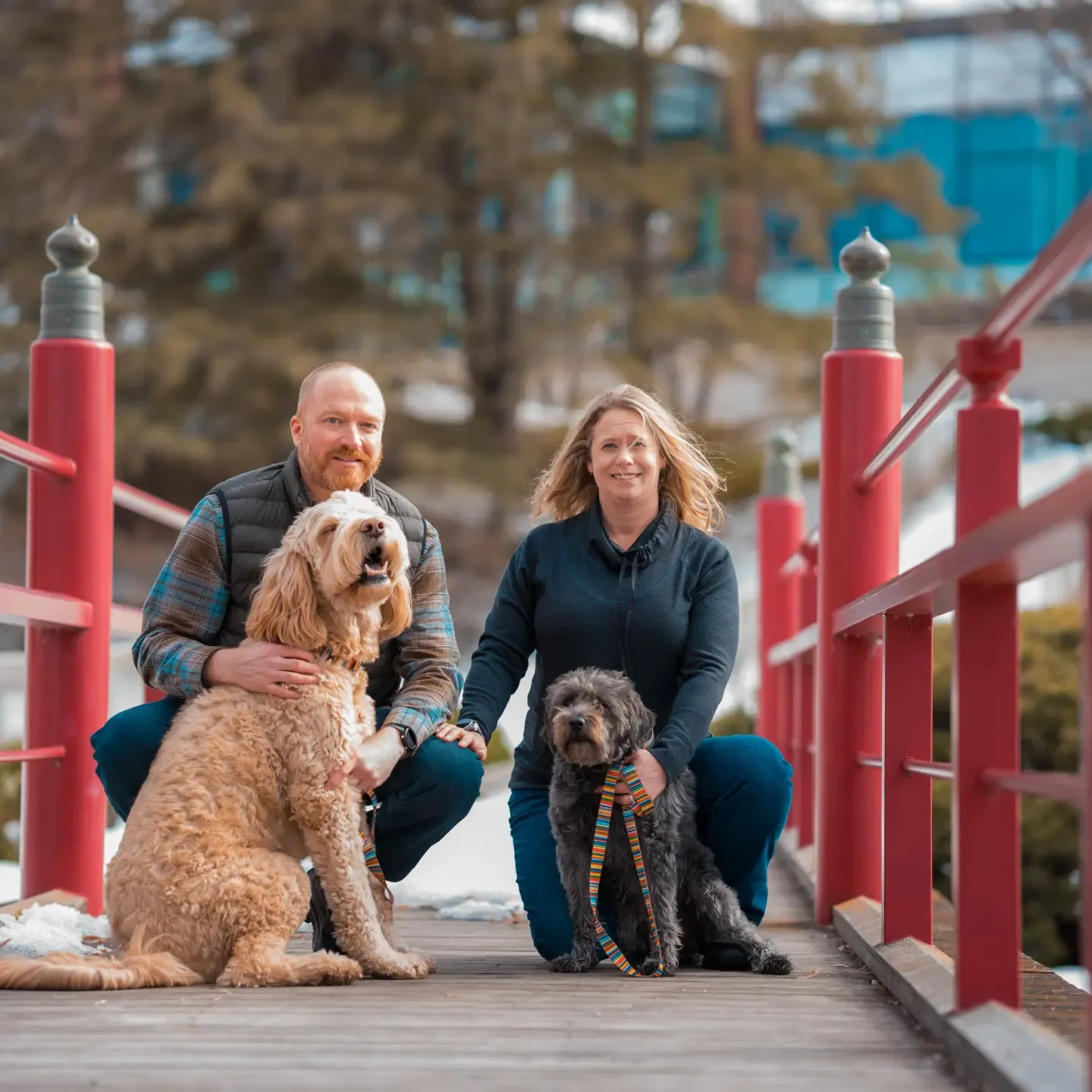 A family poses for a photo with their two dogs, all smiling happily together