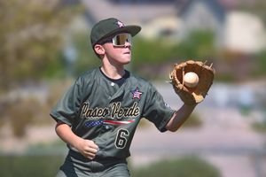 youth little league baseball