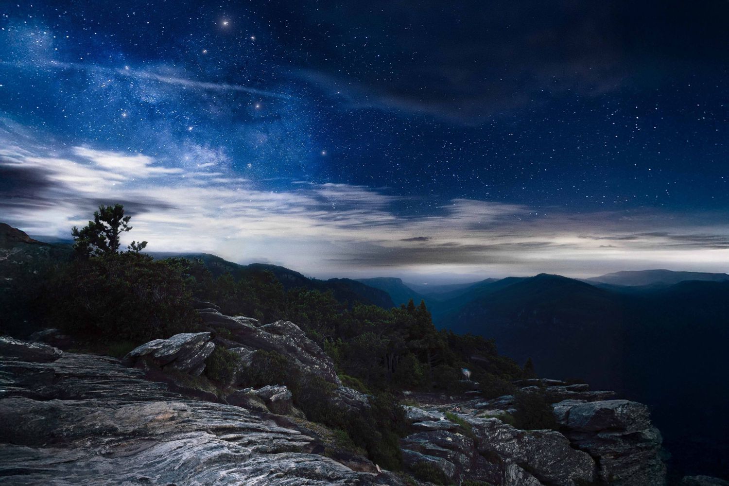 Silhouetted trees against a starry night sky with the Milky Way galaxy visible in the background.