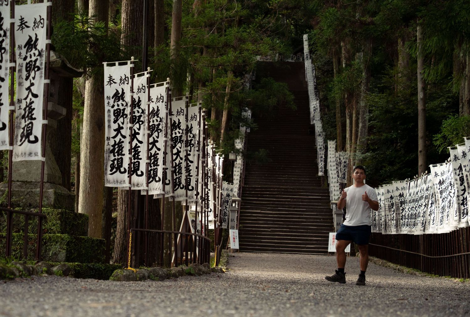Stone lanterns and pathways leading to a Japanese shrine entrance.
