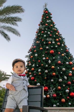 Decorated Christmas trees with red and gold ornaments stand against a blue sky with palm trees.