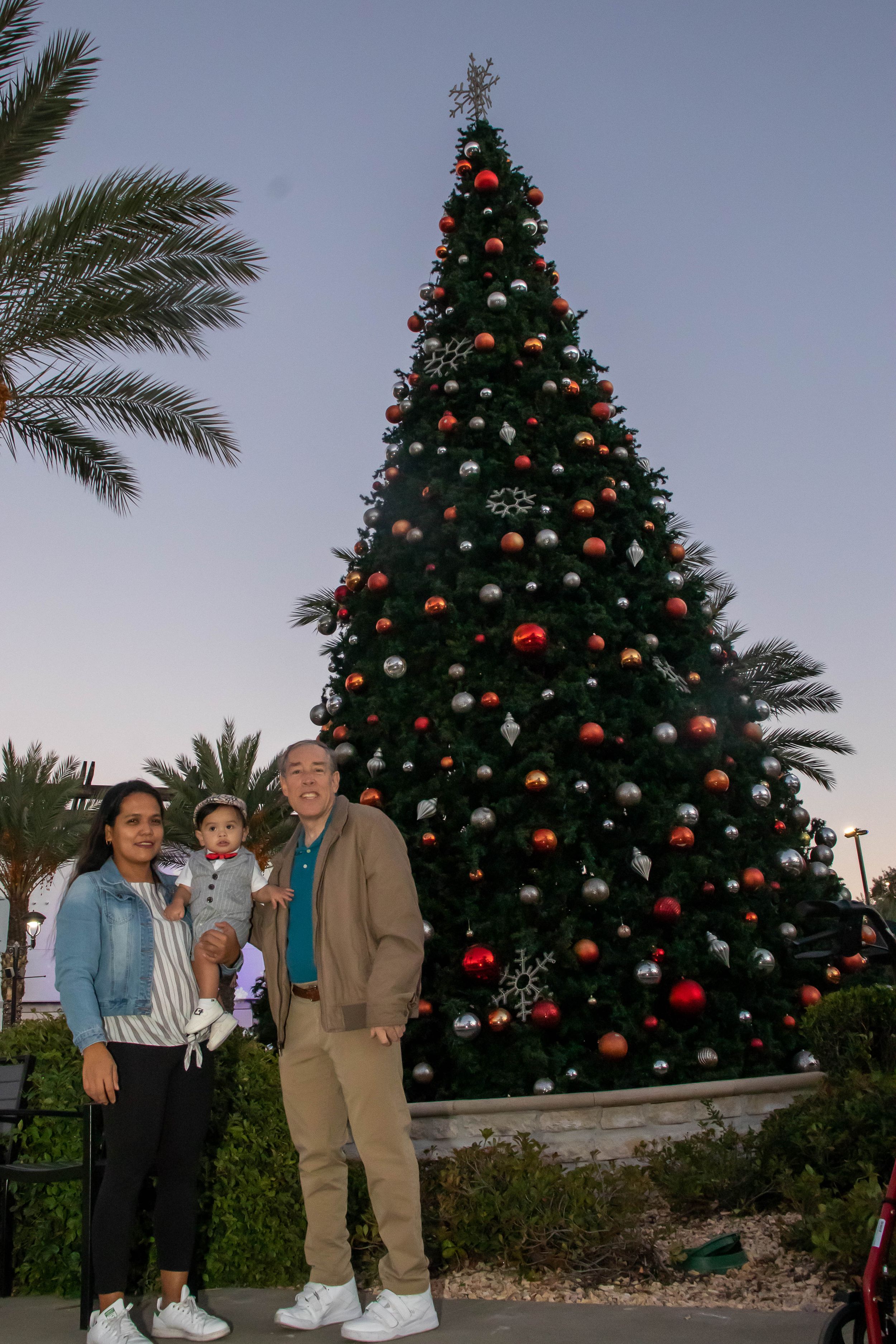Large decorated Christmas trees with red and white ornaments stand outdoors among palm trees.