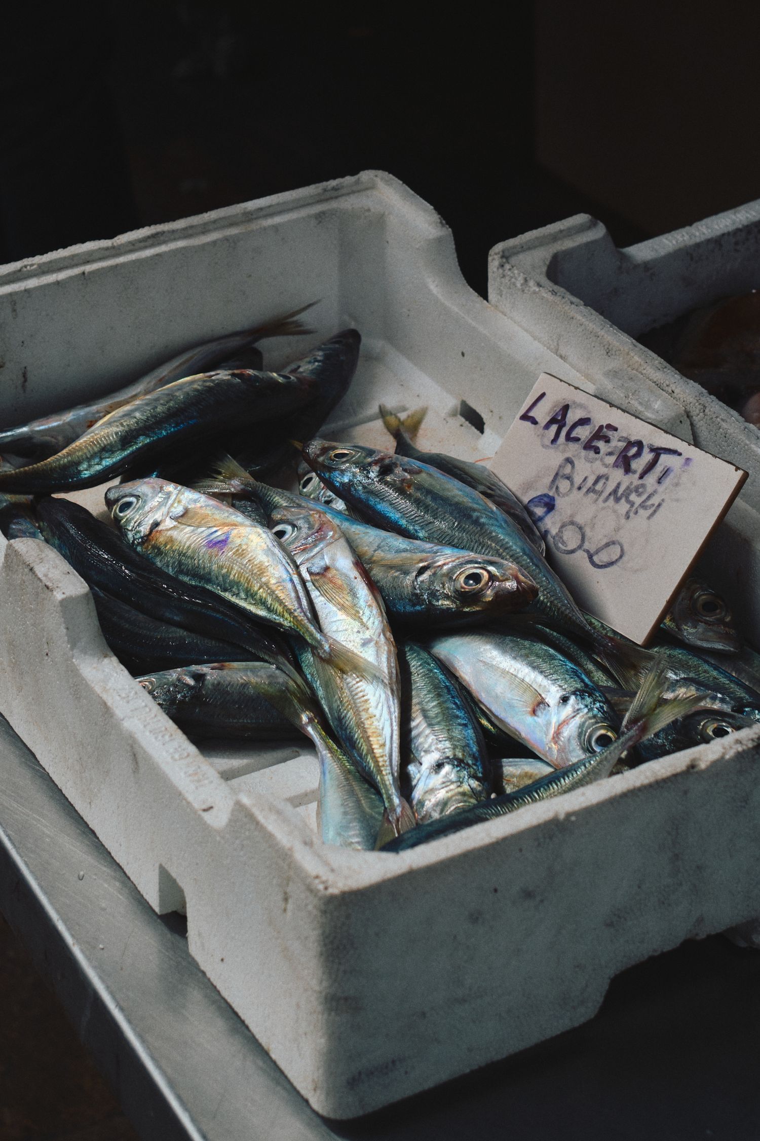 Fresh silver mackerel fish arranged in a white styrofoam container at a market.