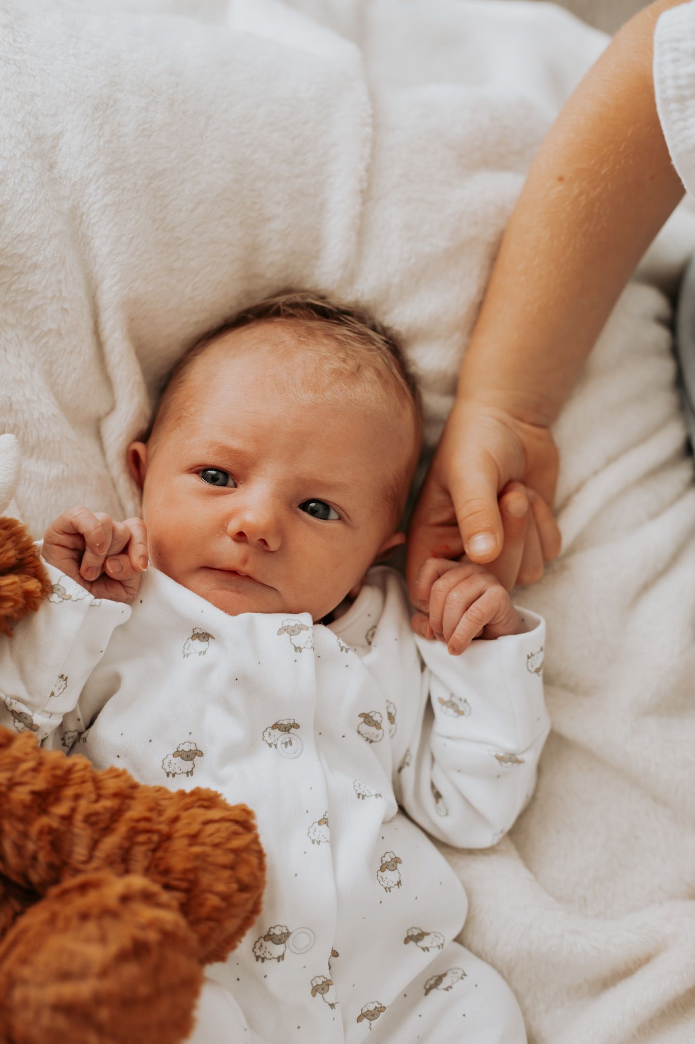 Newborn Photographer Colchester Essex | Amadre Photography | Family Photographer Essex