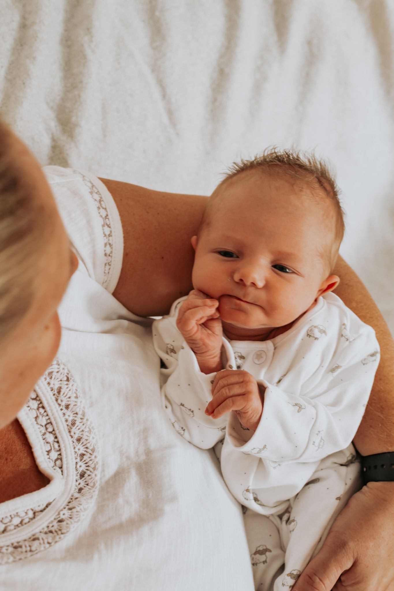 Newborn Photographer Colchester Essex | Amadre Photography | Family Photographer Essex