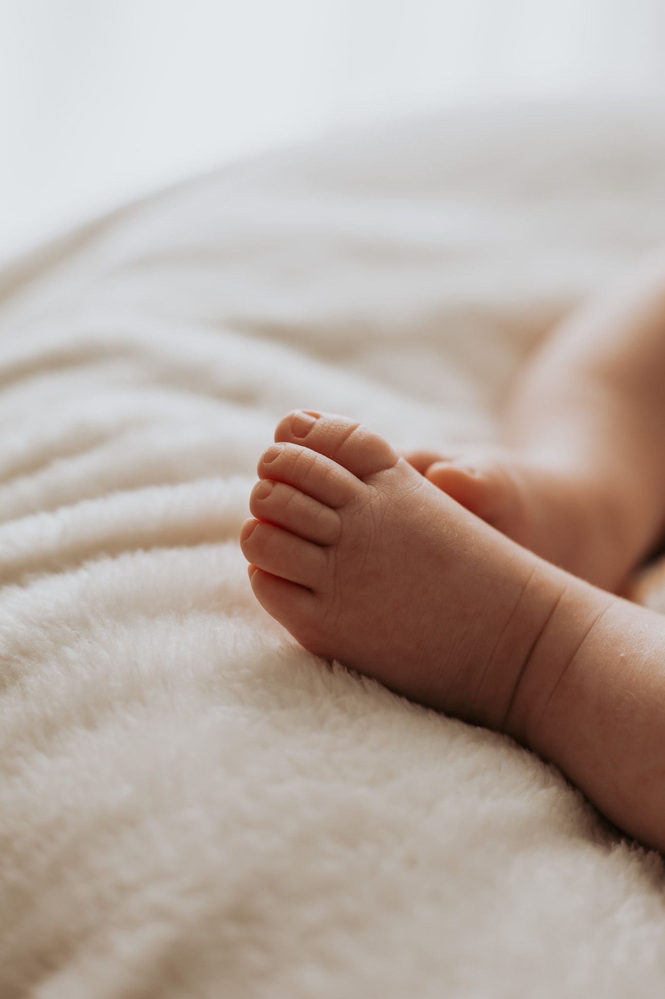 Newborn Photographer Colchester Essex | Amadre Photography | Family Photographer Essex
