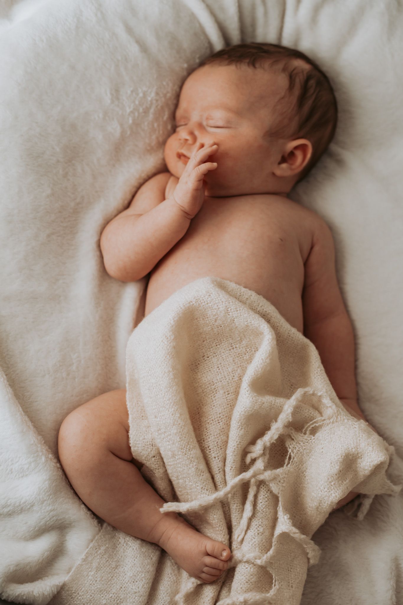 Newborn Photographer Colchester Essex | Amadre Photography | Family Photographer Essex