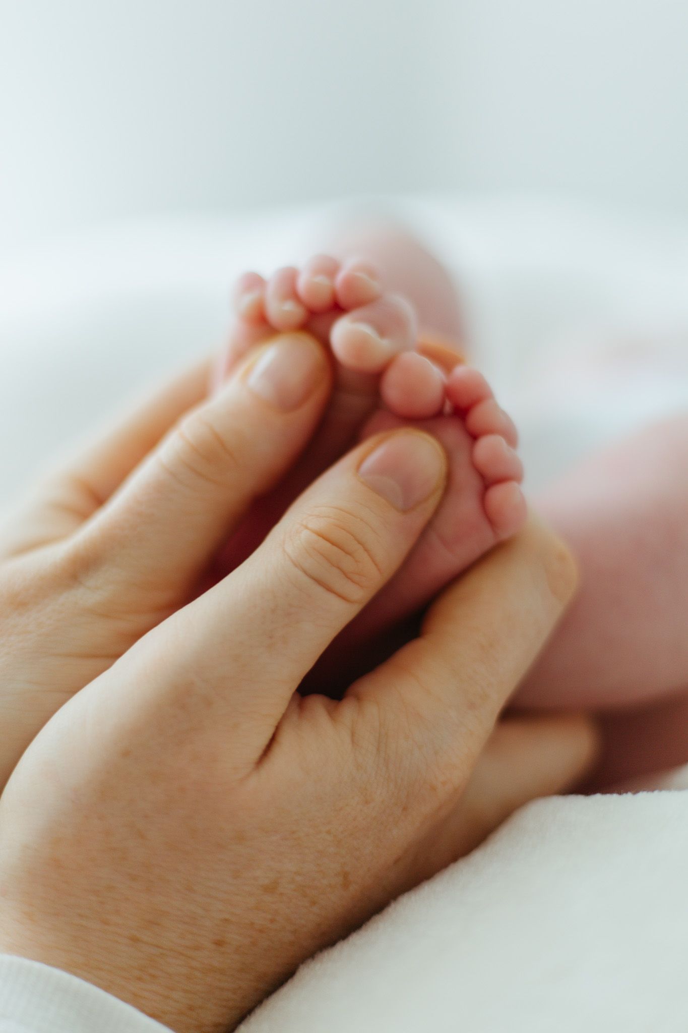 Newborn Photography Colchester Essex | Amadre Photography | Family Photographer Essex