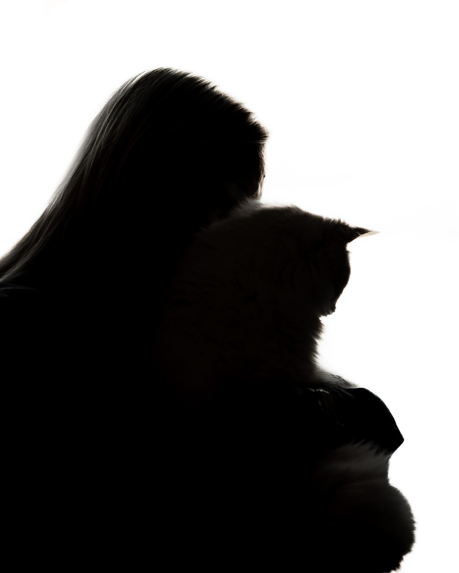 A series of silhouetted profile portraits arranged horizontally showing different head shapes and angles.