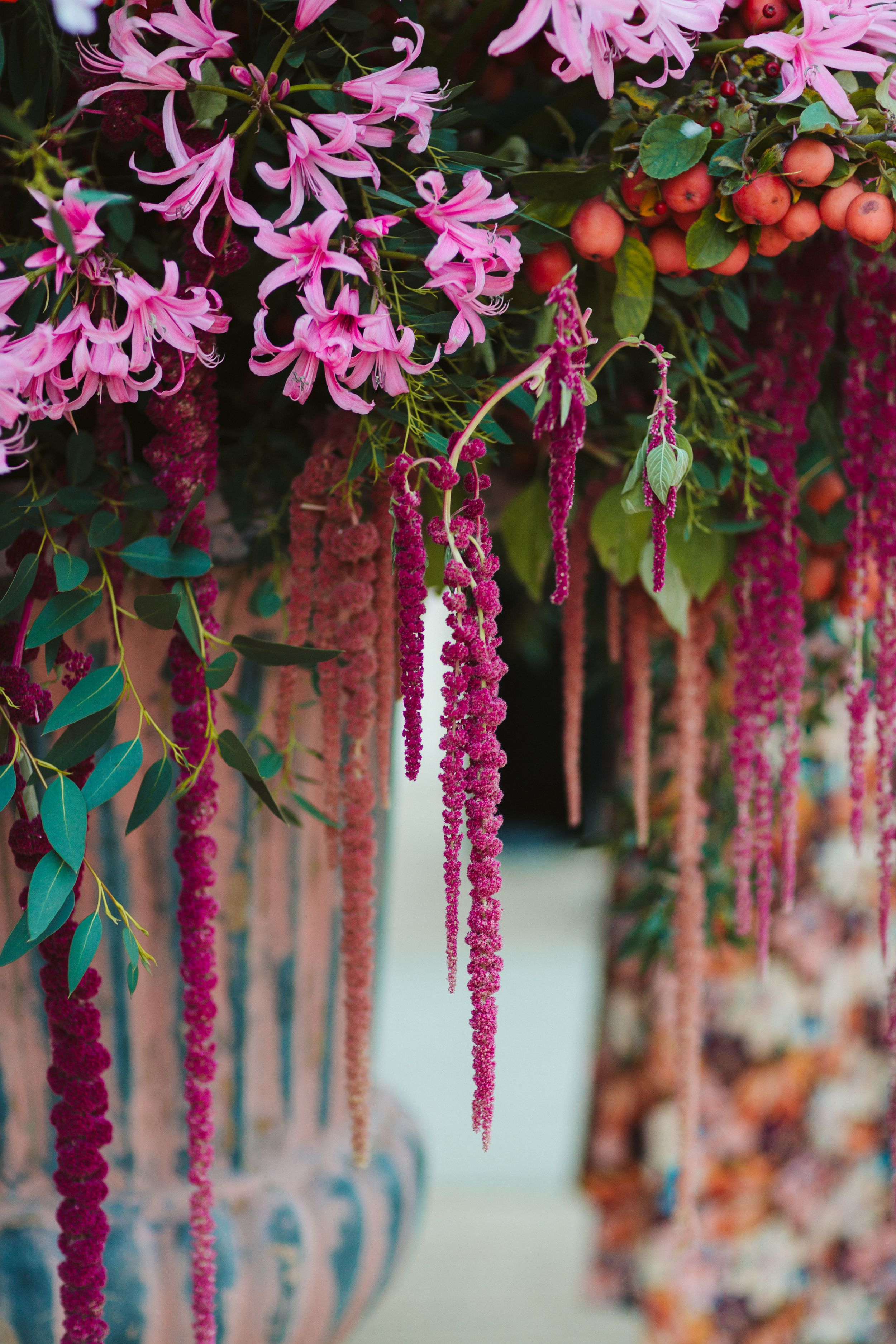 Lush pink nerine flowers and hanging amaranthus with orange berries create a vibrant floral display.