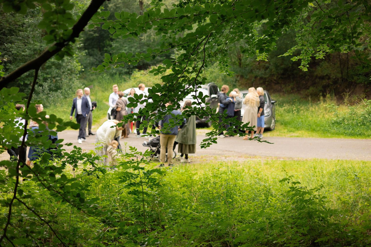 Wedding party gathering in a scenic green park setting on a summer day.