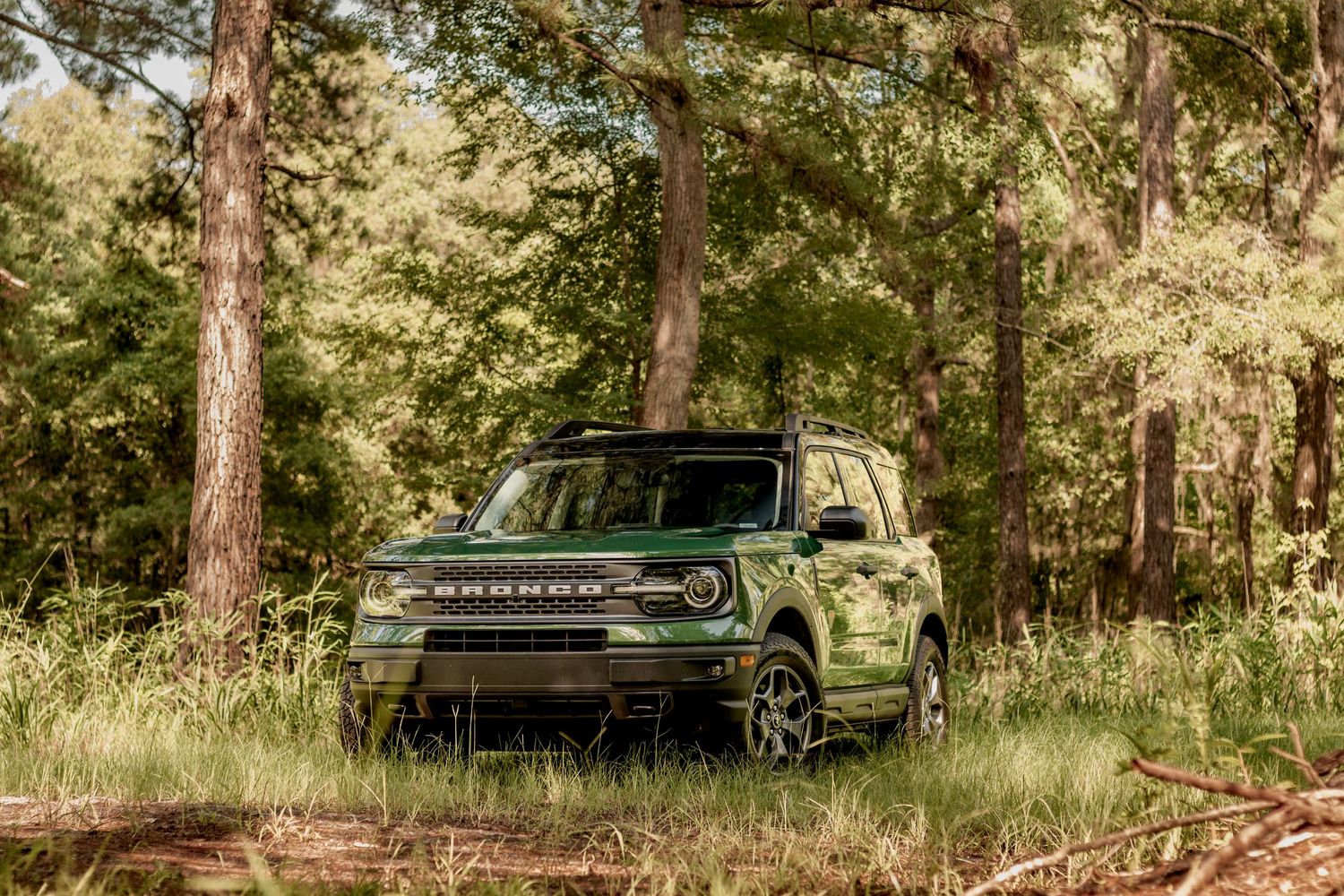 Green Ford Bronco SUV parked in a sunlit forest clearing surrounded by tall pine trees.