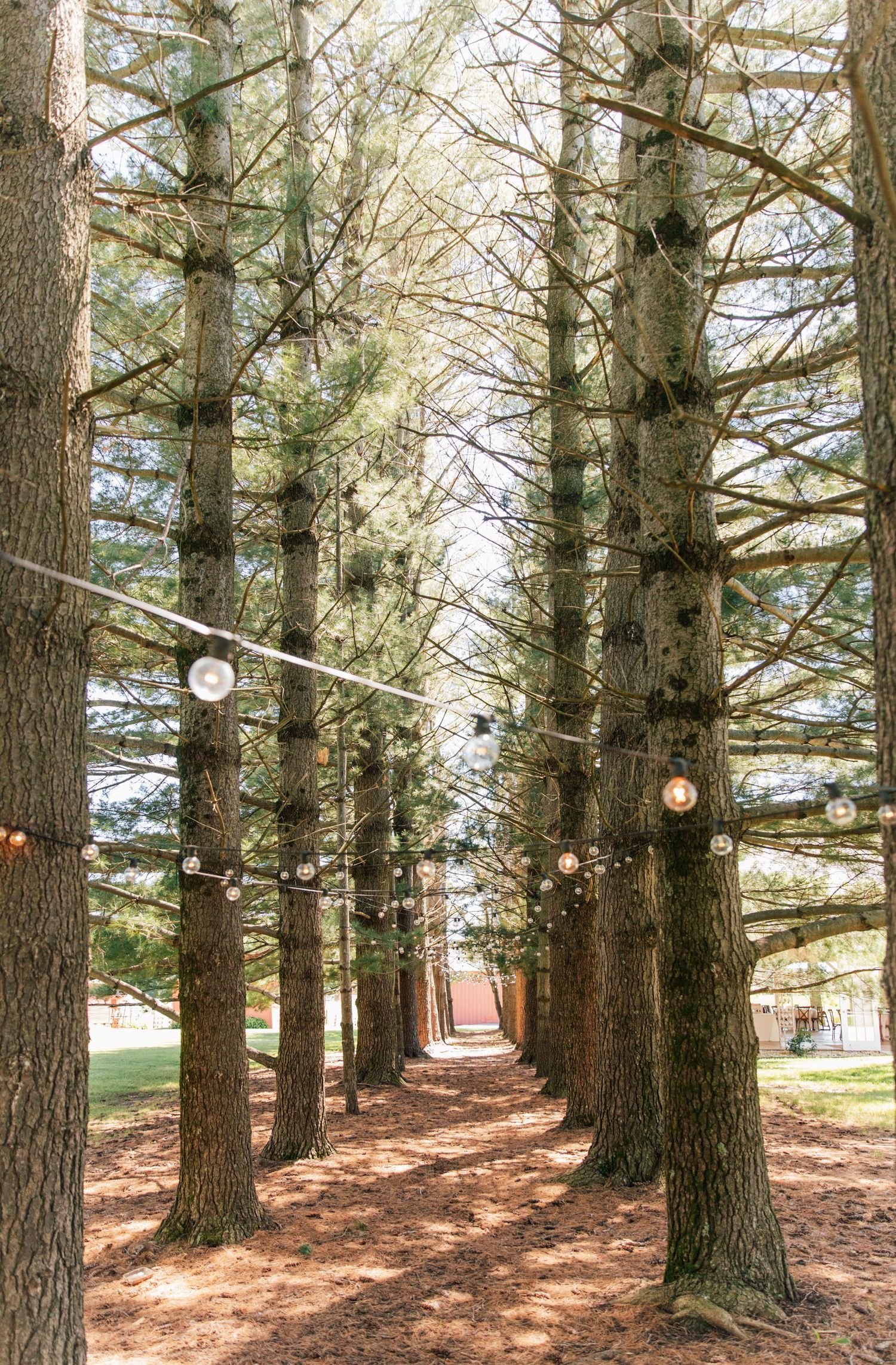 An Enchanted Wedding at Oak Hill Farm