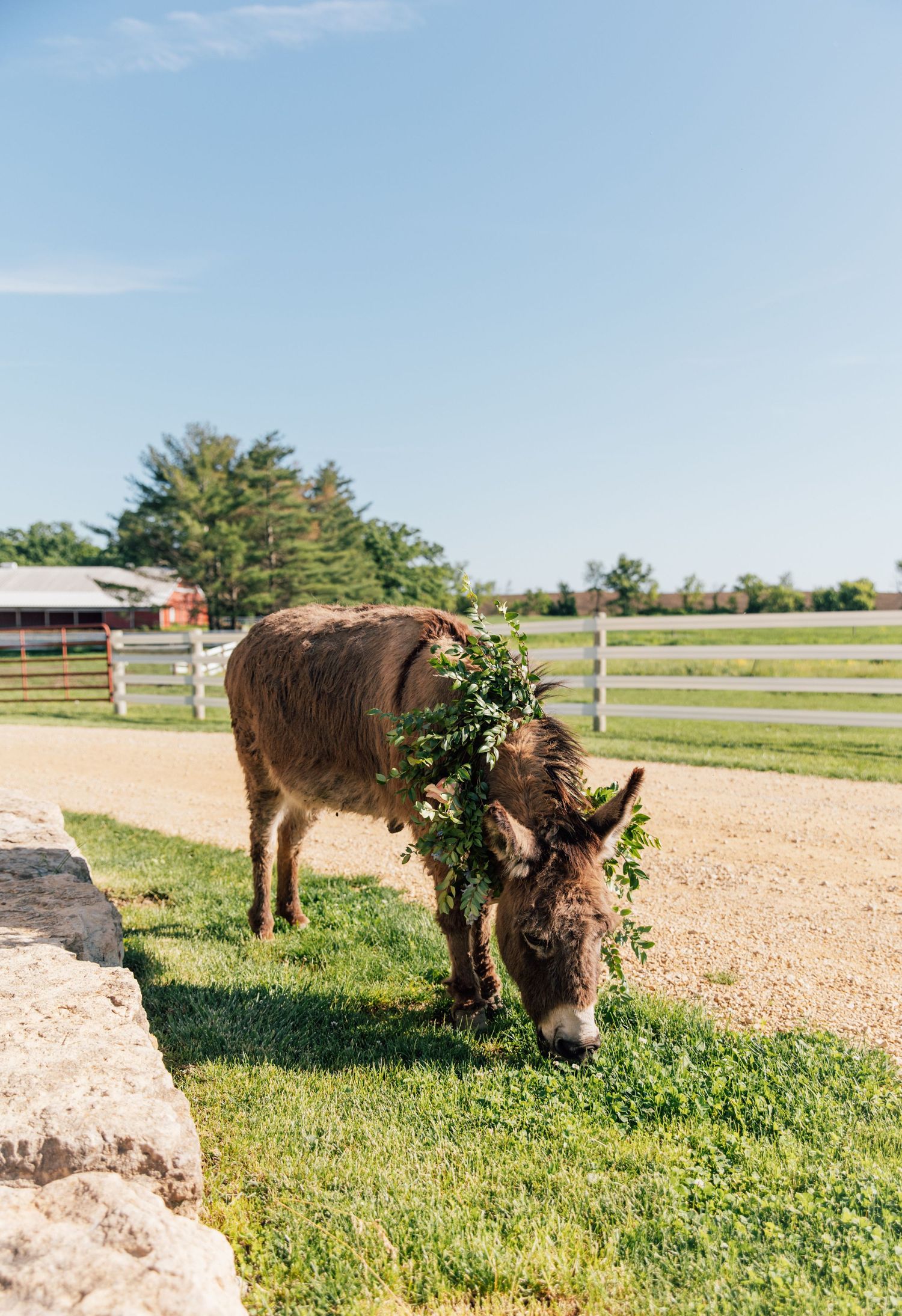An Enchanted Wedding at Oak Hill Farm