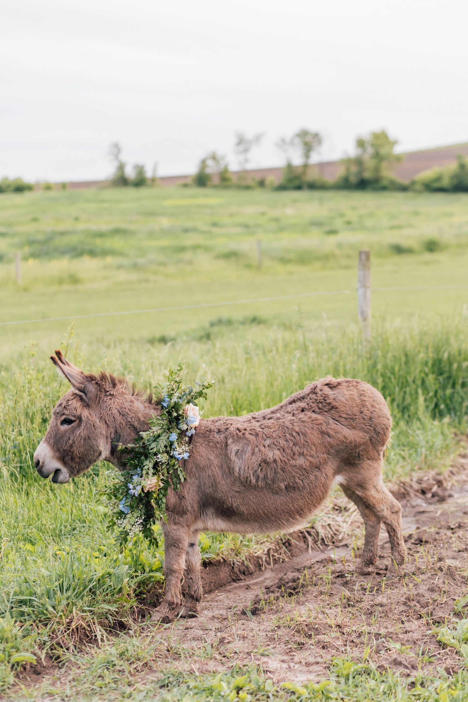 An Enchanted Wedding at Oak Hill Farm