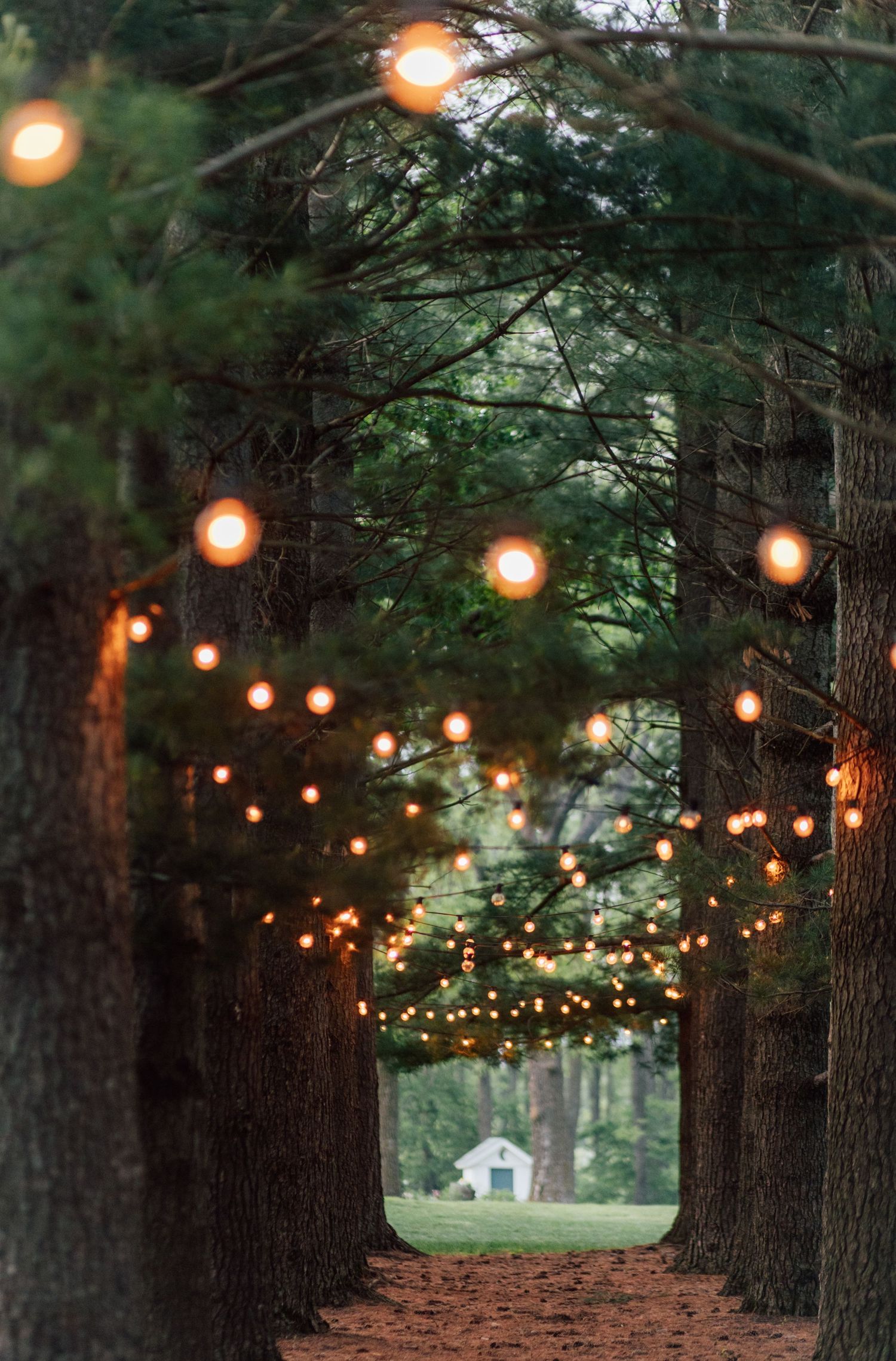 An Enchanted Wedding at Oak Hill Farm