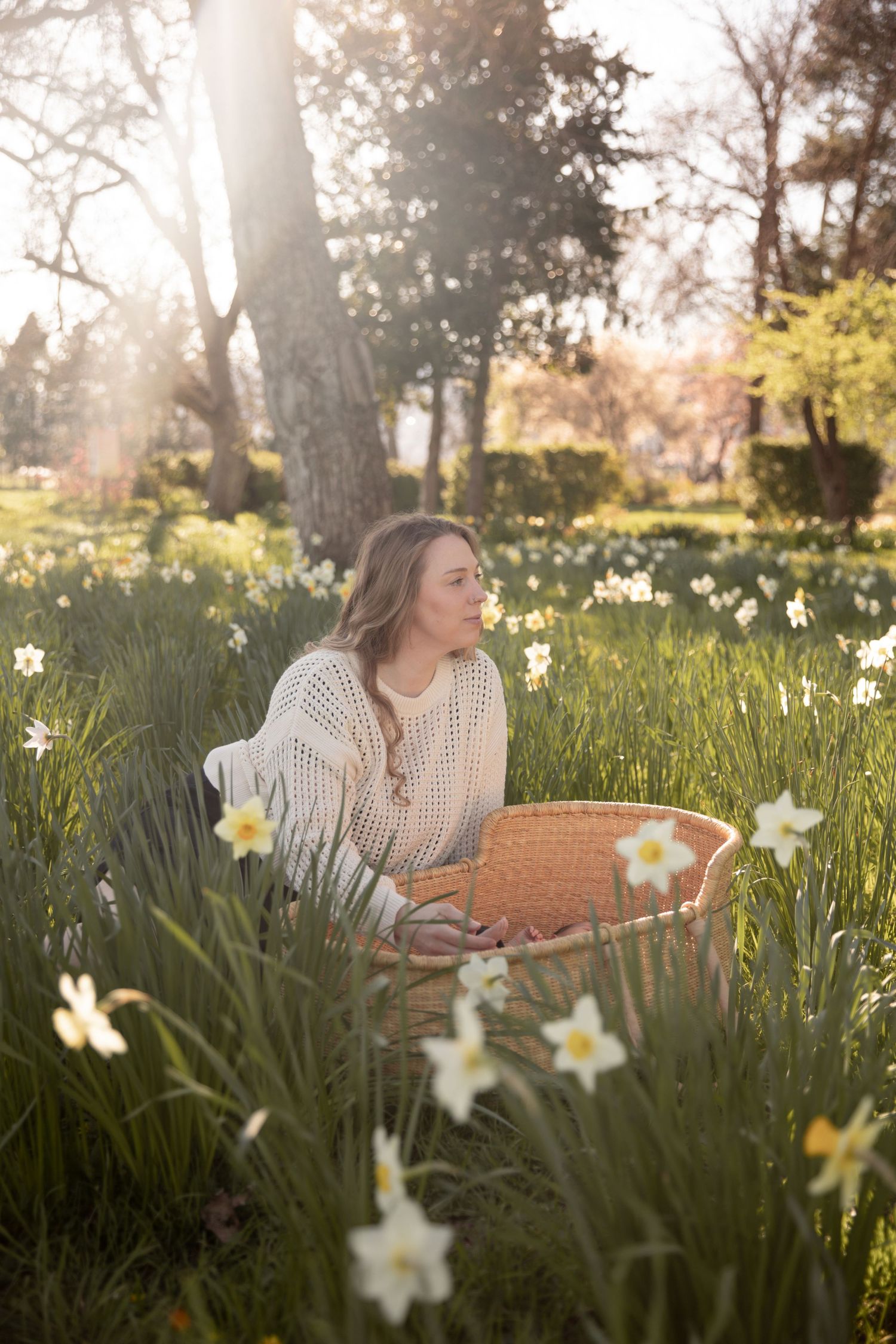 Person sitting in field of blooming daffodils during golden hour with sunlight streaming through trees.