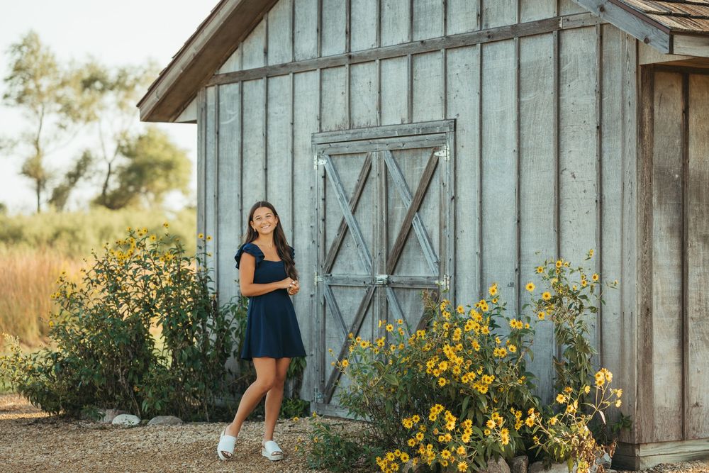 Woman in a navy blue dress poses in front of a rustic barn surrounded by vibrant yellow sunflowers.