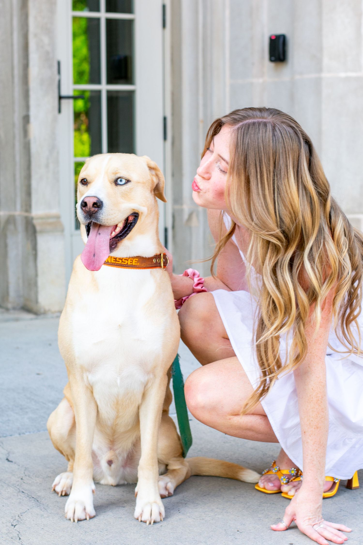 University of Tennessee Knoxville Graduation photo with dog