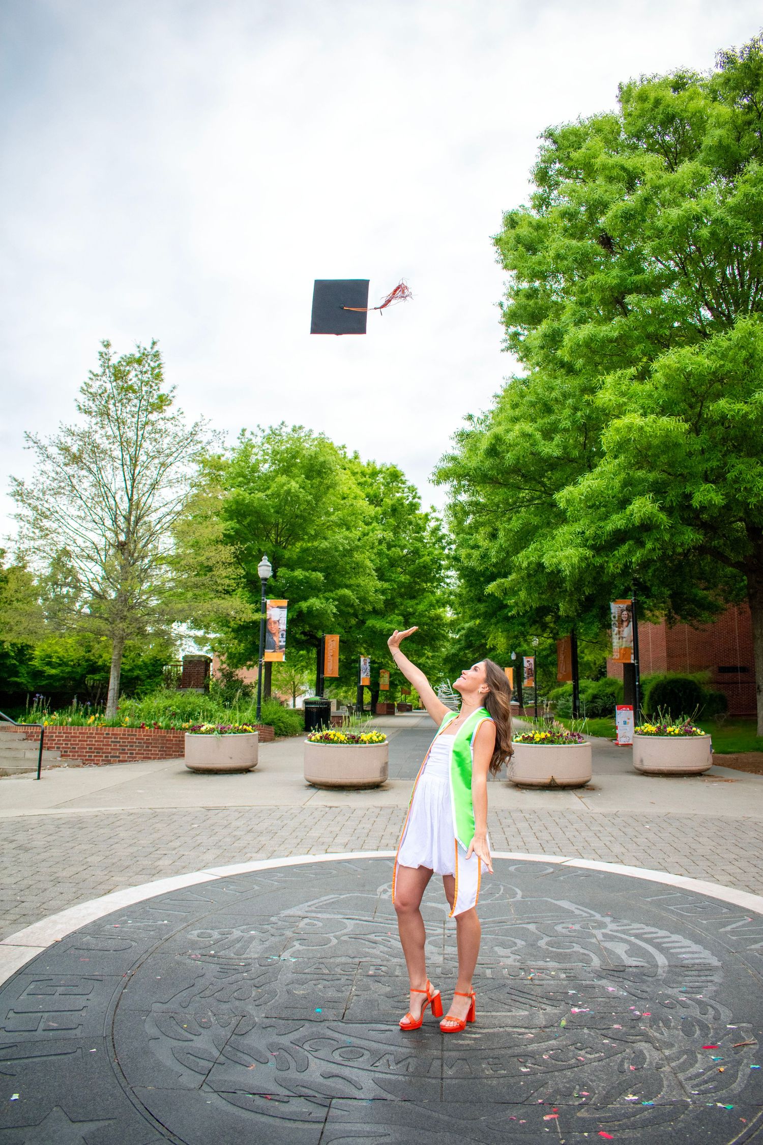 University of Tennessee Knoxville Graduation photo