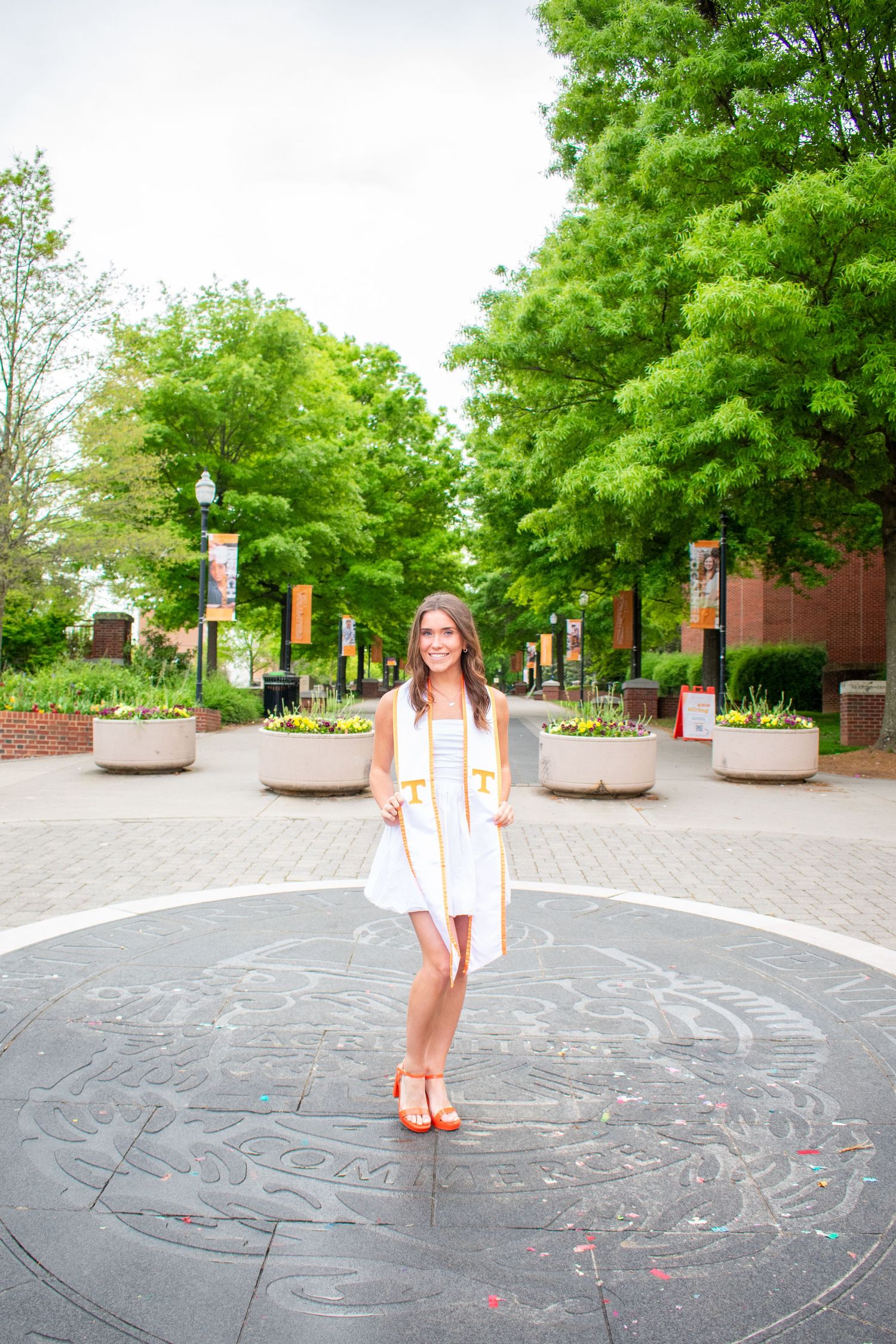 University of Tennessee Knoxville Graduation photo