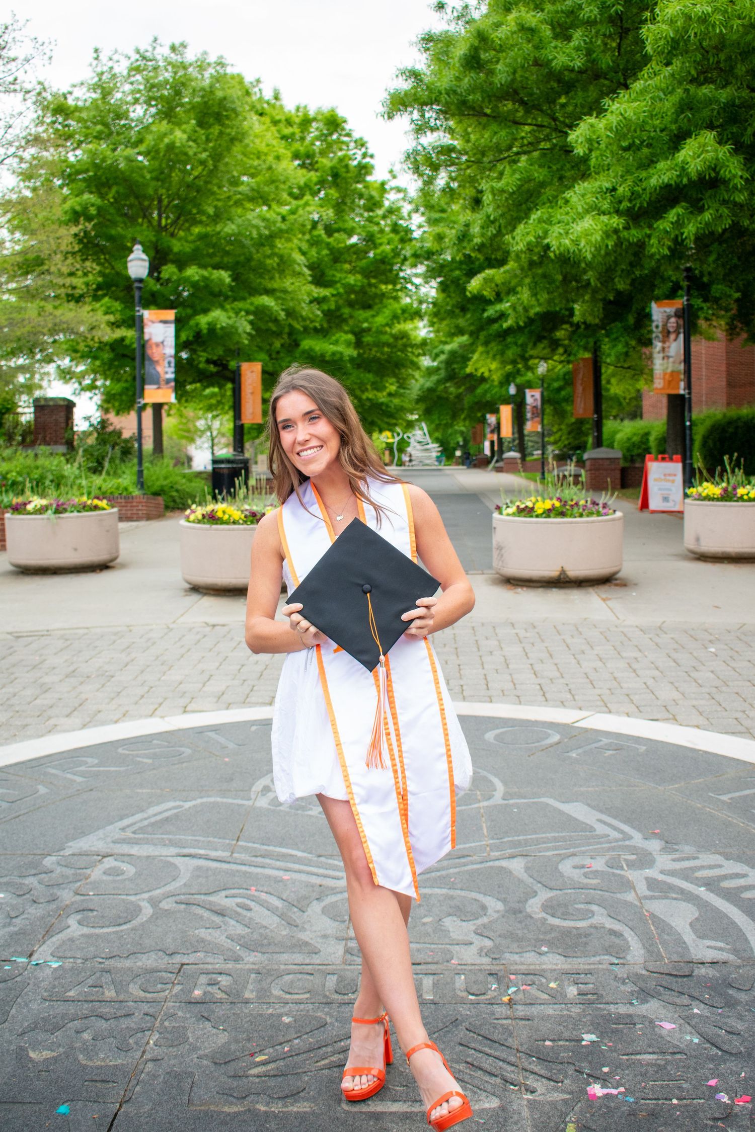 University of Tennessee Knoxville Graduation photo