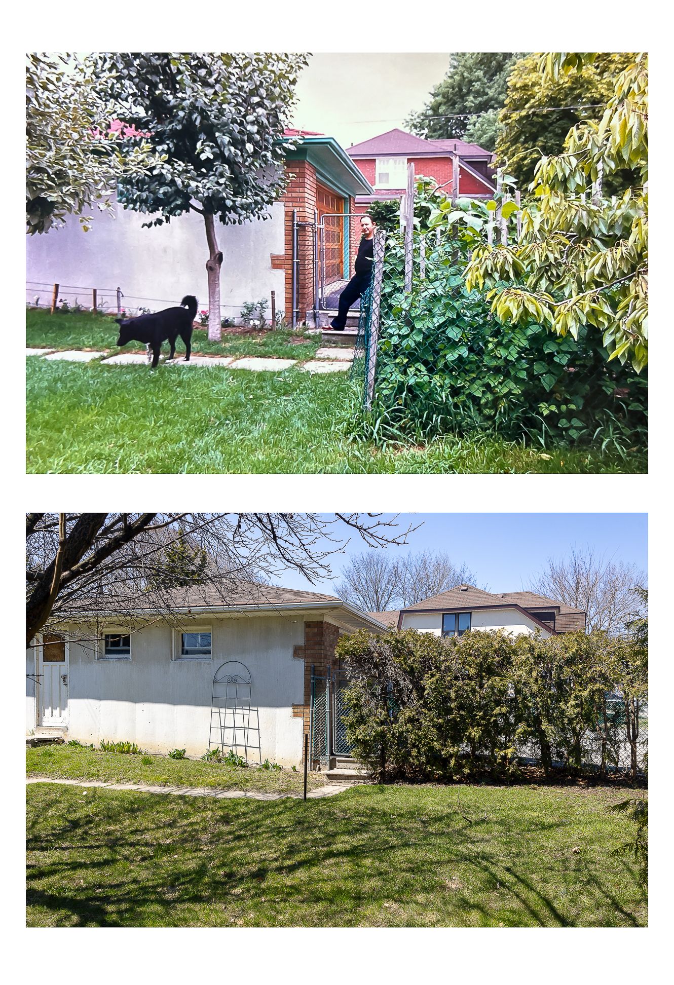 Archival photograph layered on top of a new one.  A garden, a man, and a dog before and after