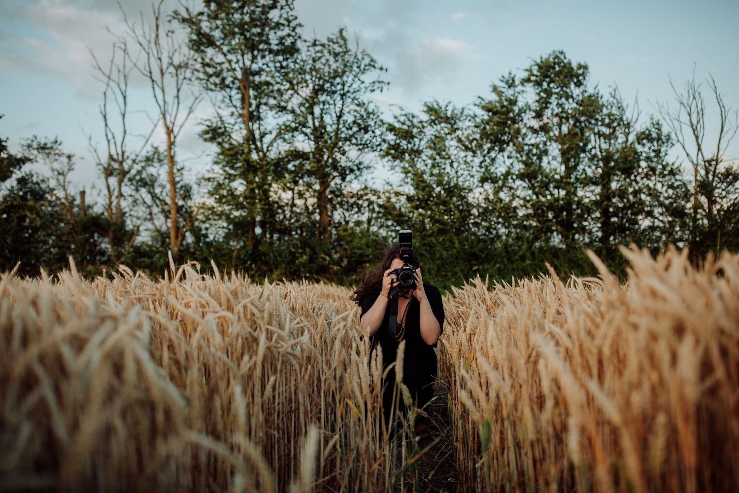 A silhouetted figure taking photos in a golden wheat field during sunset.
