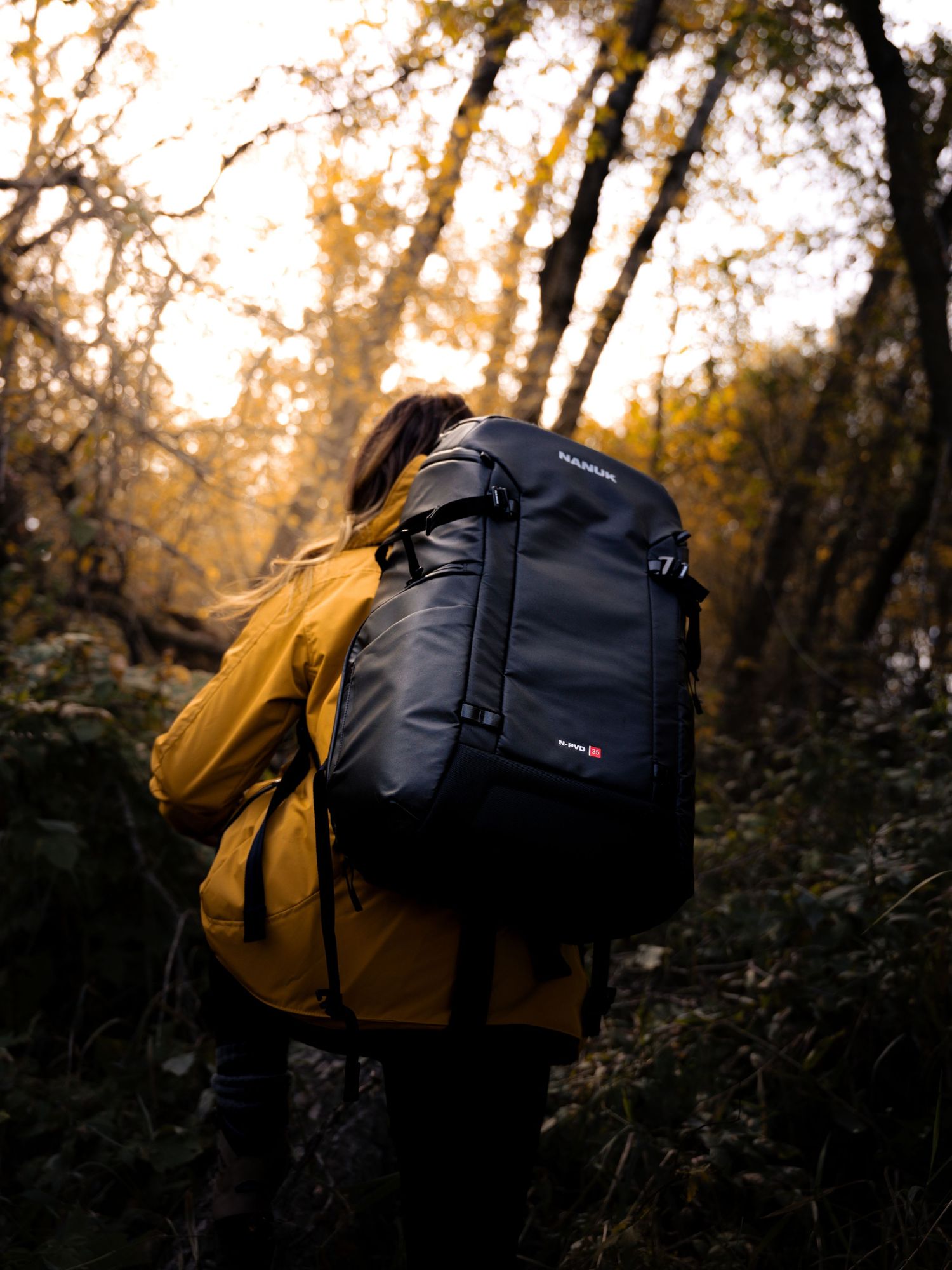 Black and yellow backpacks silhouetted against sunset in autumn woods.
