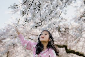 A person wearing pink reaches toward blooming cherry blossoms on a spring day at the park.