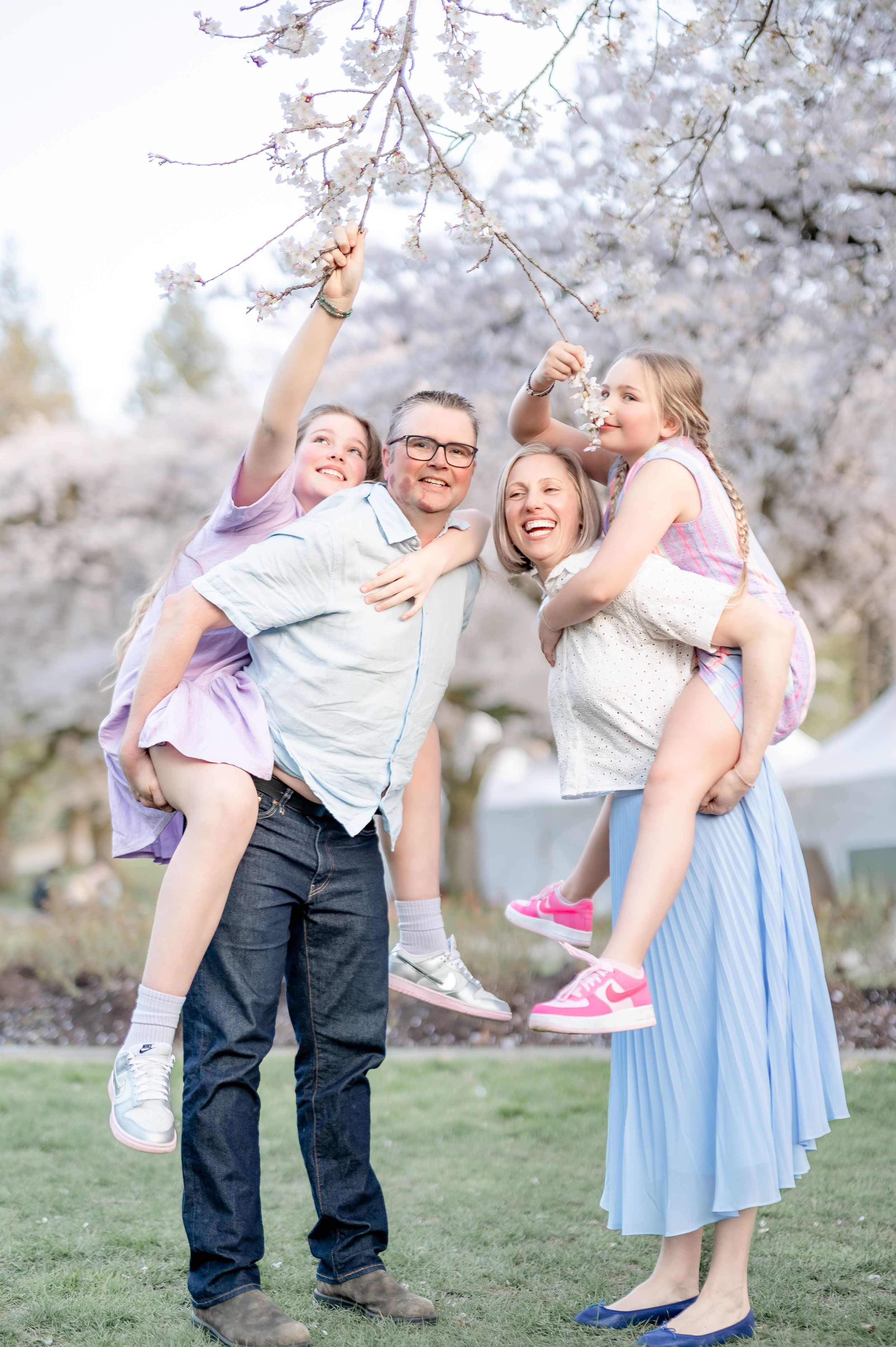 Family of four laughing under cherry blossoms, parents carrying two girls reaching for flowers in a spring park.