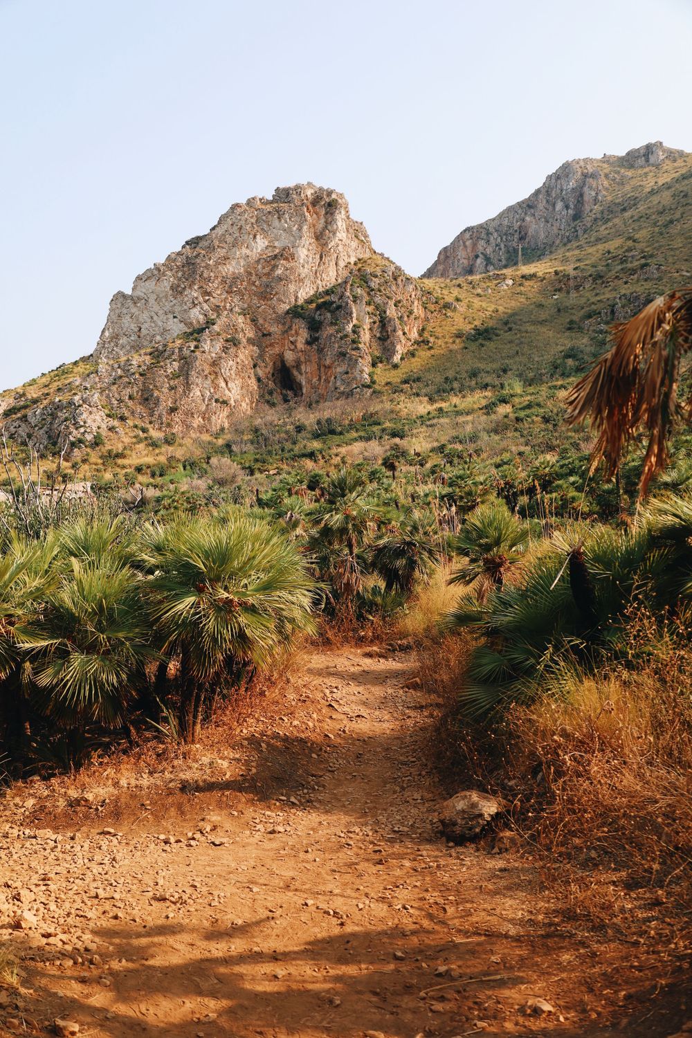 Rocky mountain trail winding through palm trees and desert vegetation.