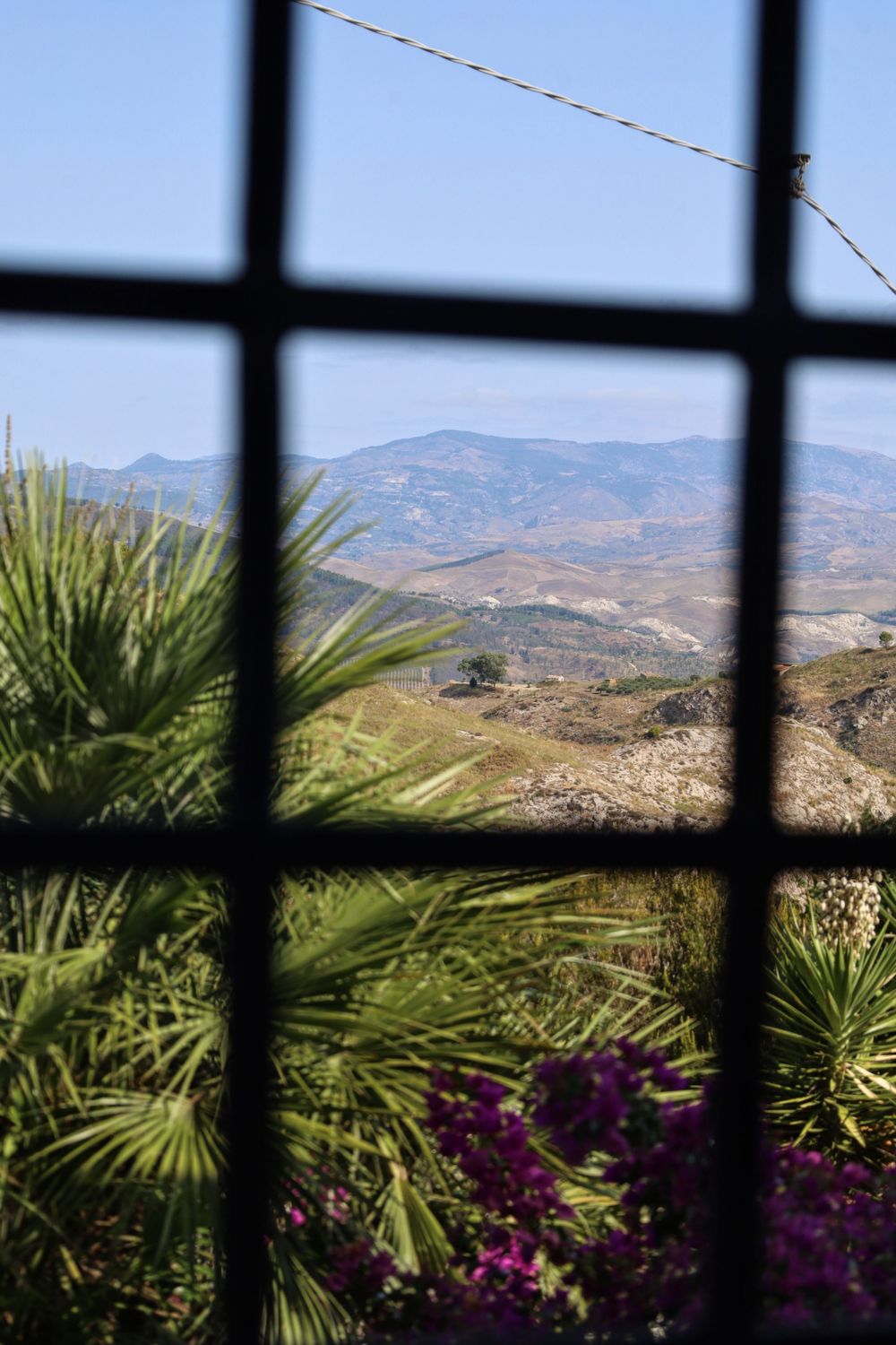 Scenic mountain landscape view framed by palm leaves and purple bougainvillea flowers.