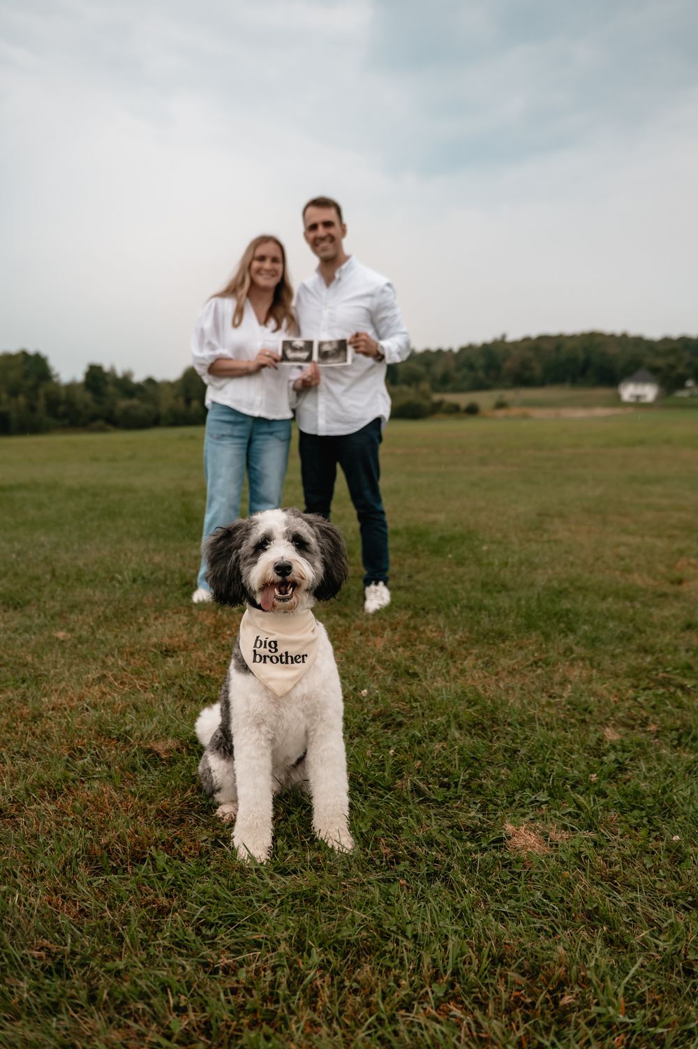 Western MA pregnancy announcement photographer