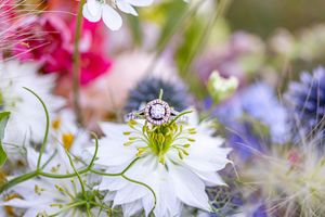 Nova Scotia wedding Ring