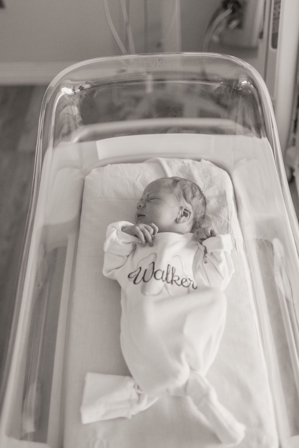 newborn
