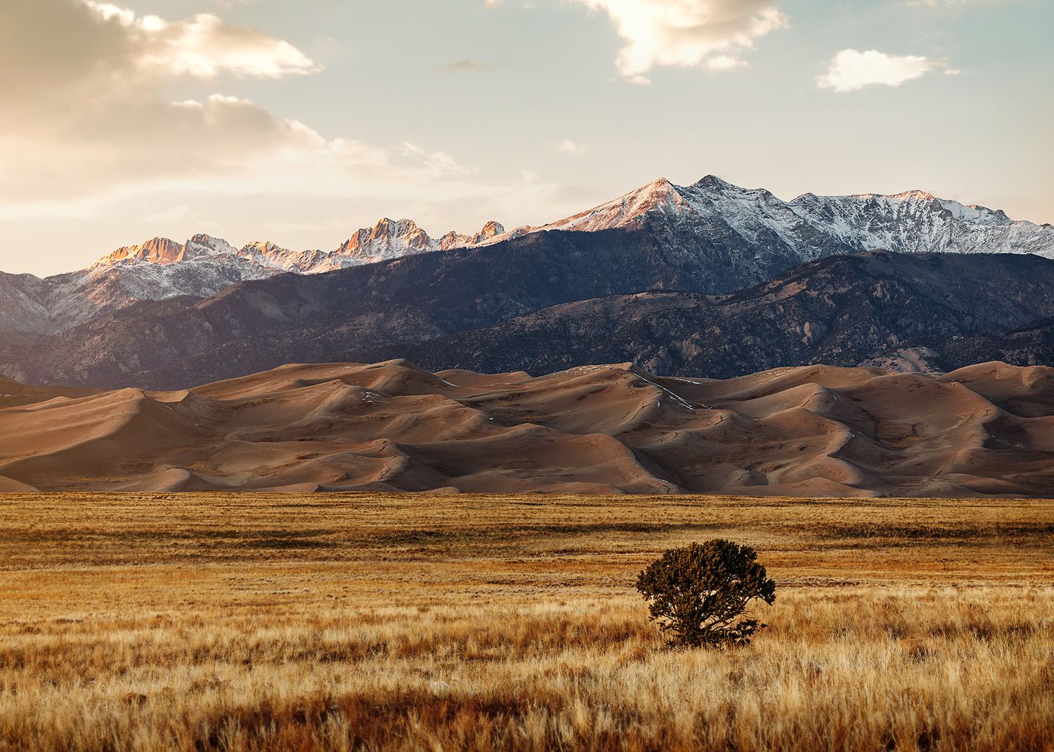 New-Mexico-Branding-Photographer