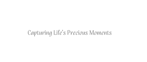 Capturing Life's Precious Moments