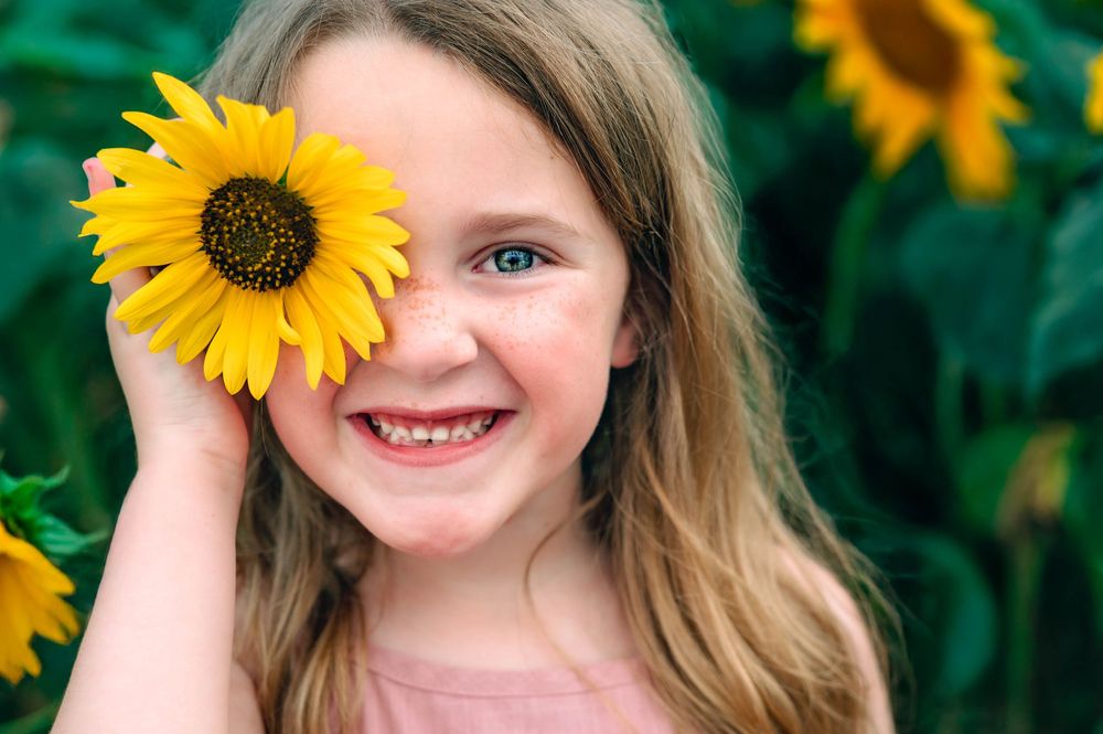 Sunflower, Summer, Fort Worth, Keller, Texas