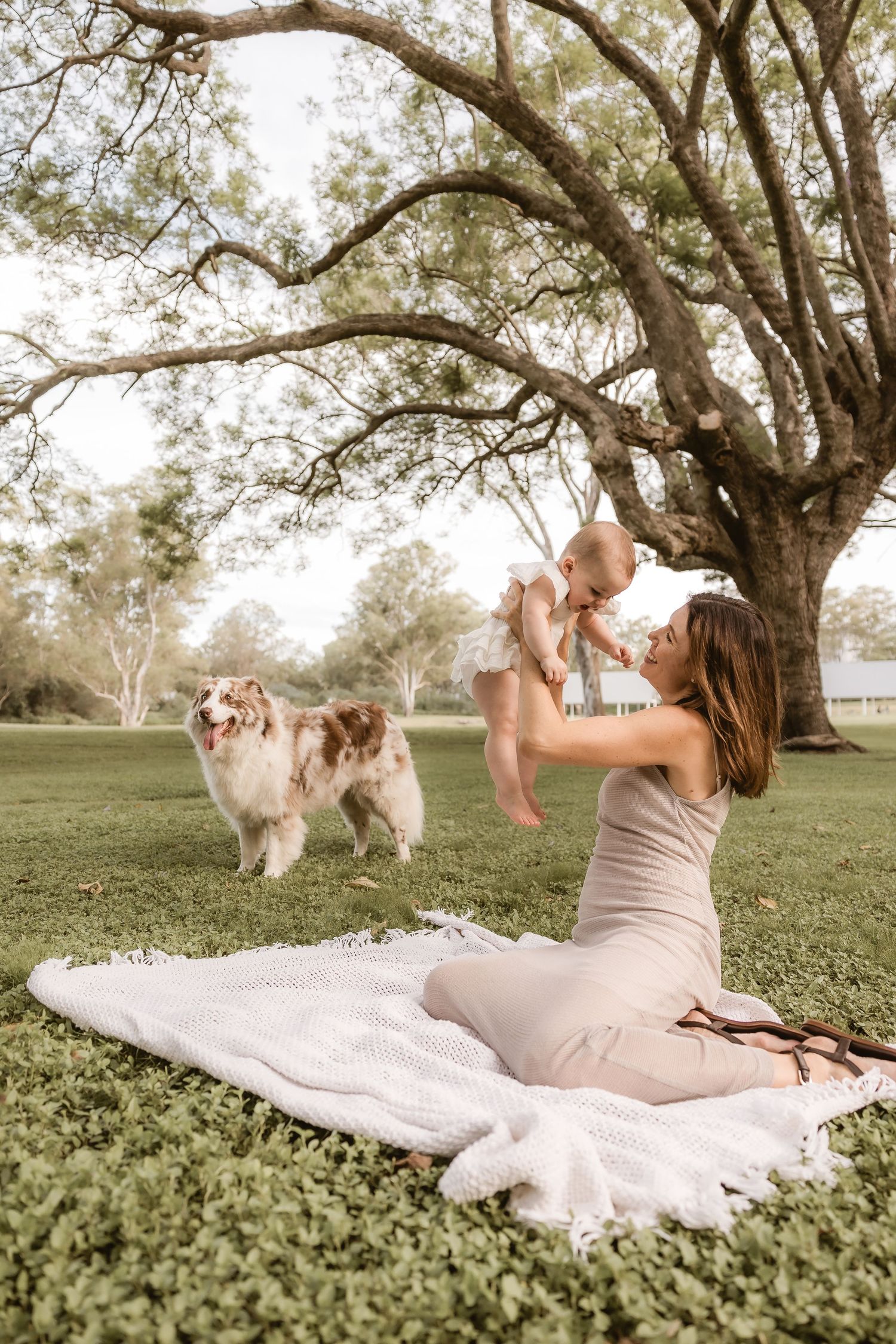 Indian family photo shoot in their Brisbane home