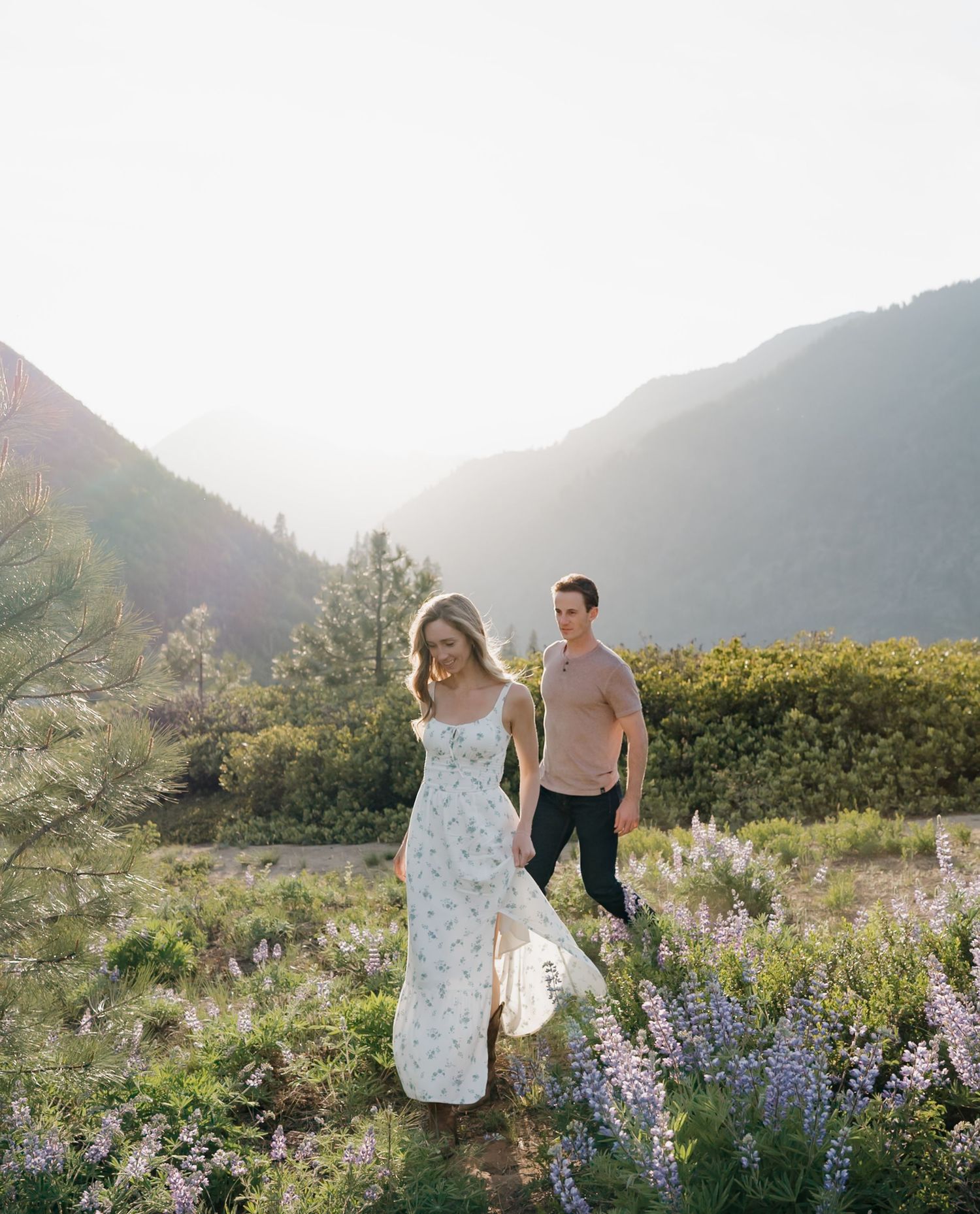 Two people walk through a scenic mountain meadow filled with vibrant wildflowers and desert plants at sunset.