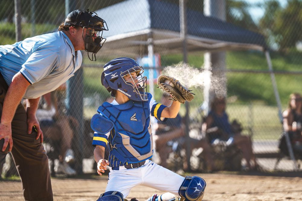 catcher in dust