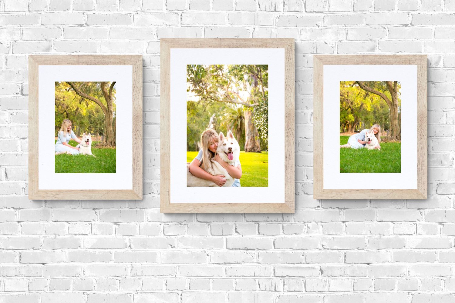 Adelaide Family Pet Photography