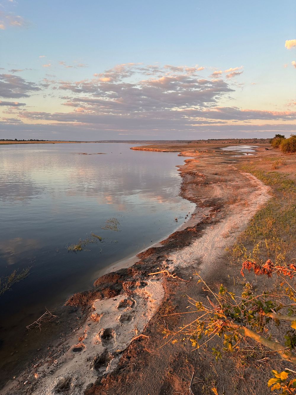 Scenic coastal landscape at sunset with orange wildflowers along rocky shoreline.