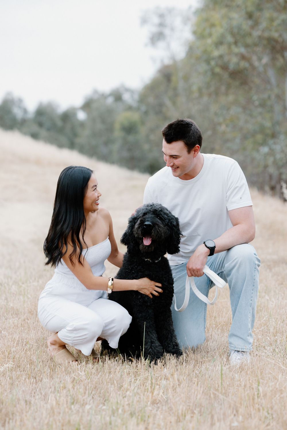 Couple relaxing in golden field with black dog during outdoor photo session.
