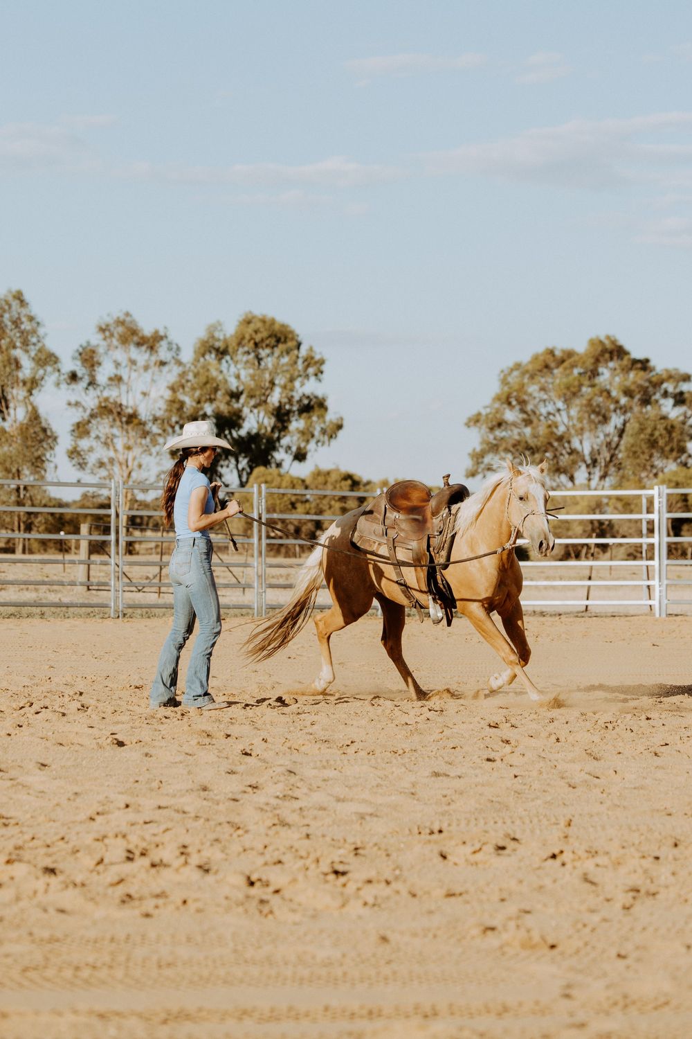 A sequence of photos showing a horse bucking in a sandy arena with white fencing and eucalyptus trees in the background.