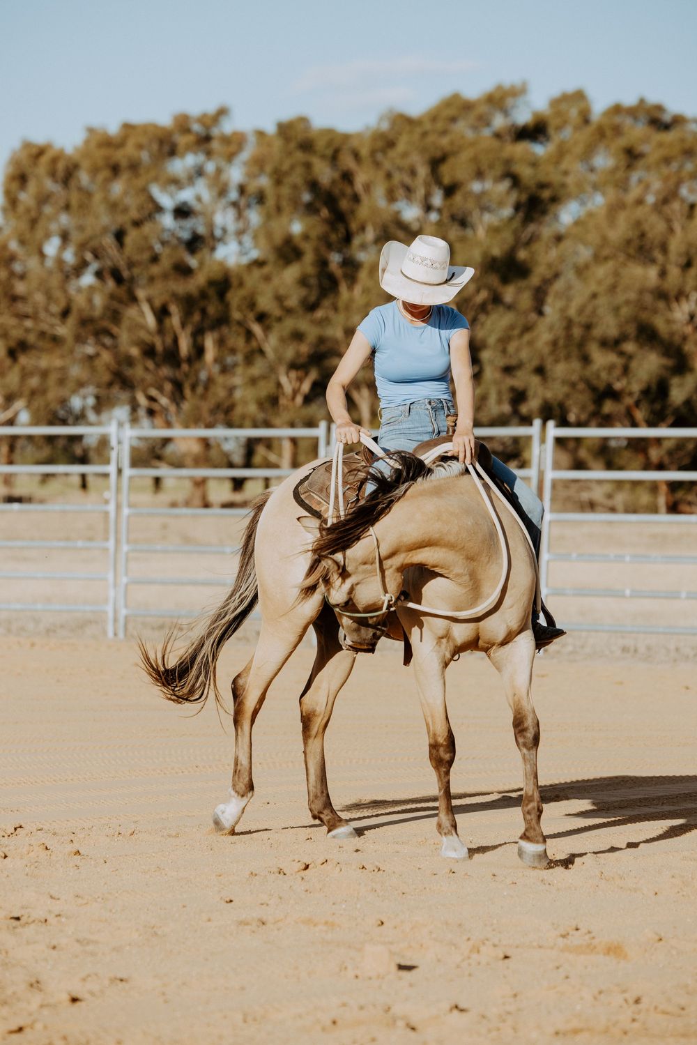 A rider in a white cowboy hat and blue outfit rides a bucking palomino horse in a dusty arena.