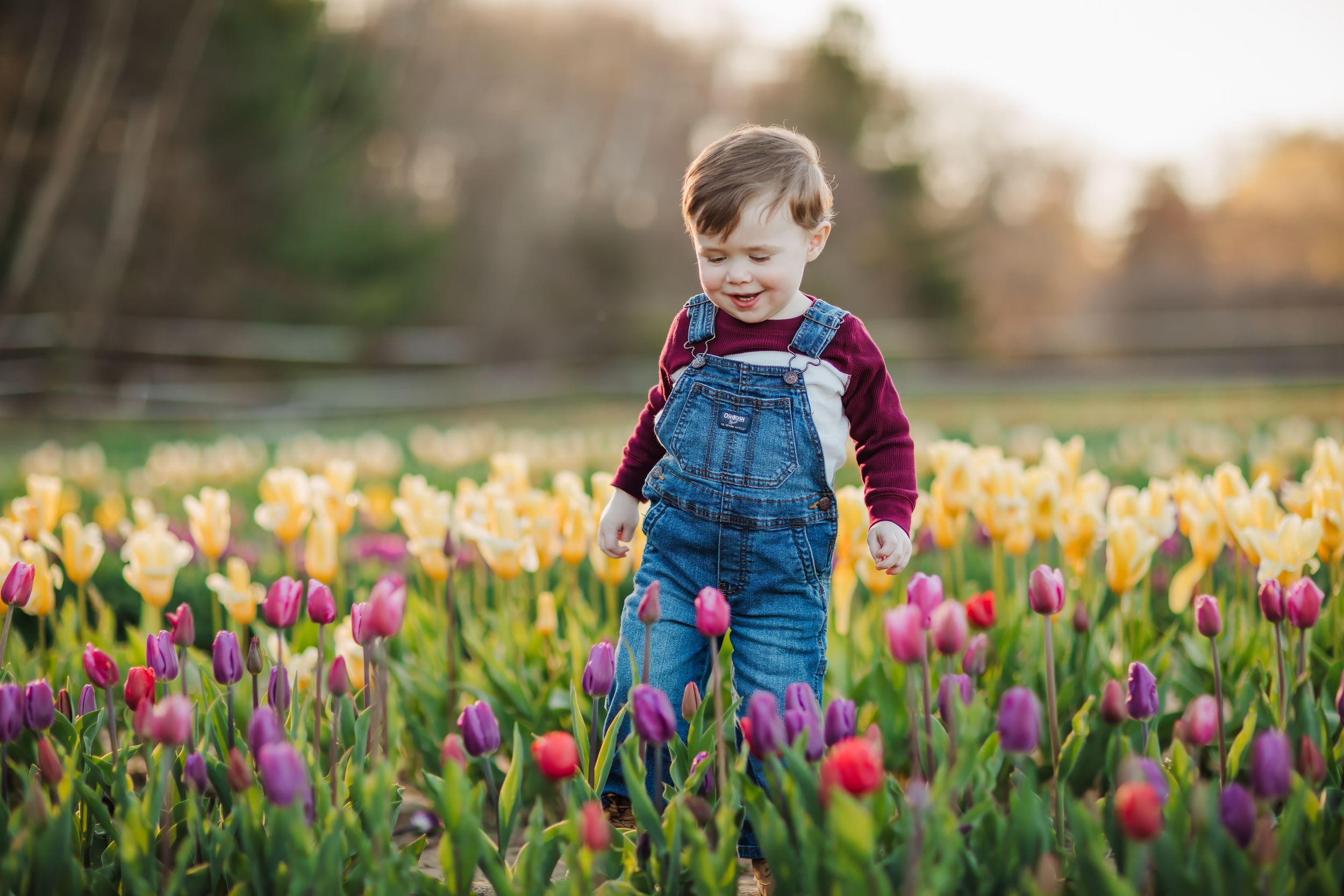 Tulip Farm mini session