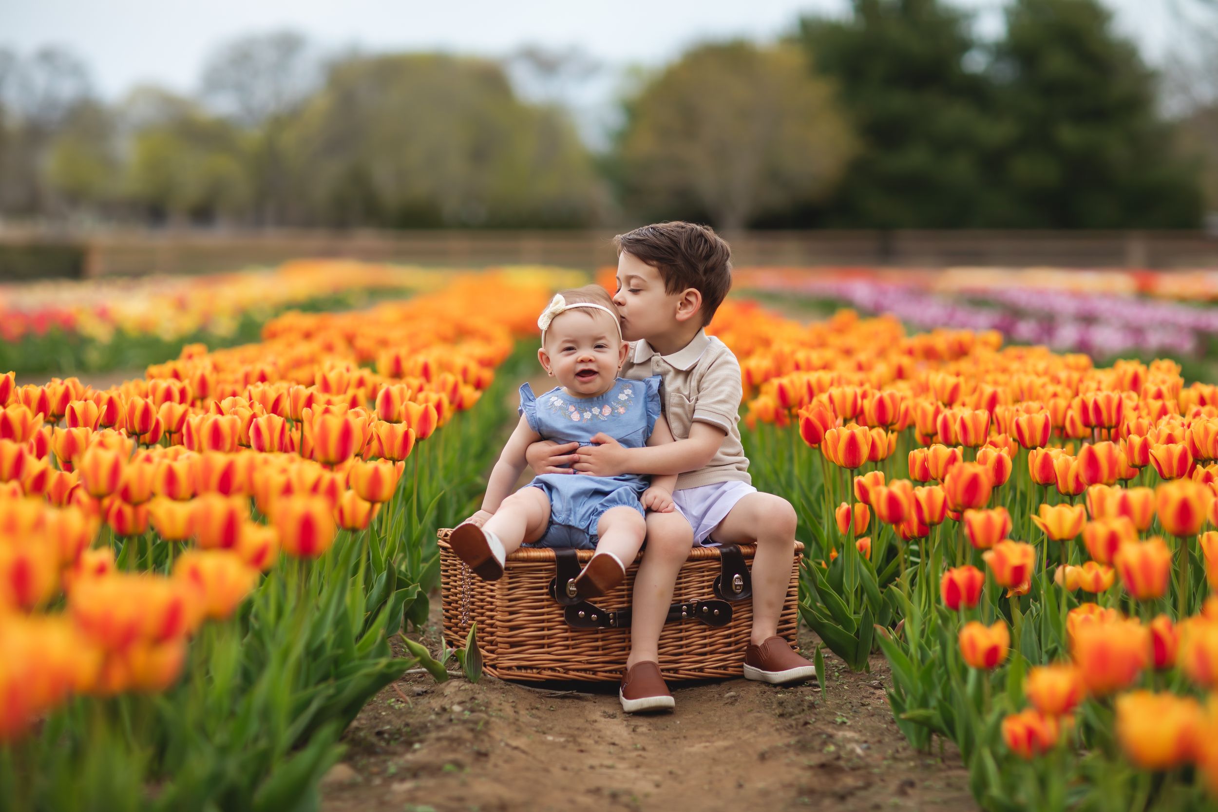 Tulip Farm mini session
